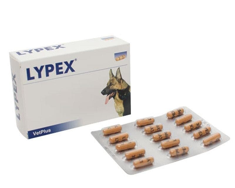 Lypex – 60 cápsulas